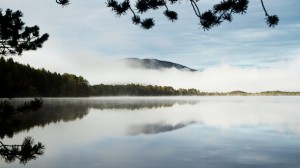 Swirling mists across Loch Garten