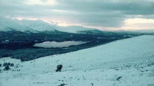 Wilderness Wednesday - Photos of Scotland 1
