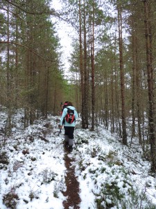 We venture further into the depths of the forest.