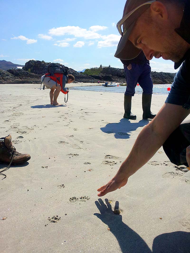 Identifying otter tracks Identifying otter tracks