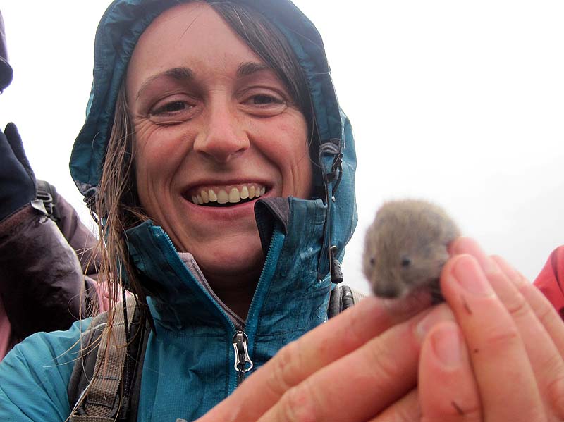 Laura Meets a Scottish Field Mouse Laura Meets a Scottish Field Mouse