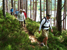 cairngorms-deeside-feature1