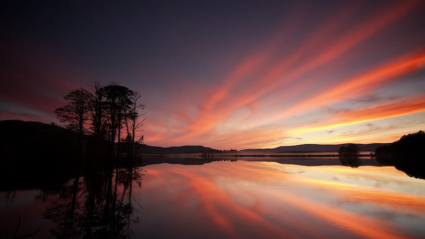 Our Favourite Wild Photos of Scotland 1330