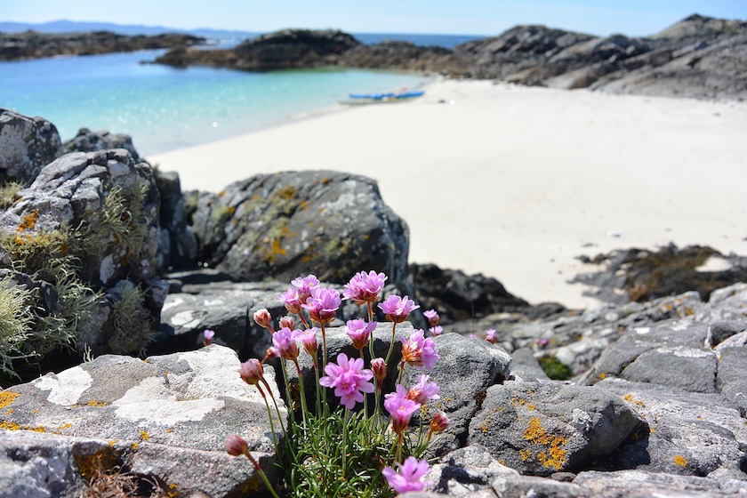 Sea Kayaking Photography; How to Shoot on the Water