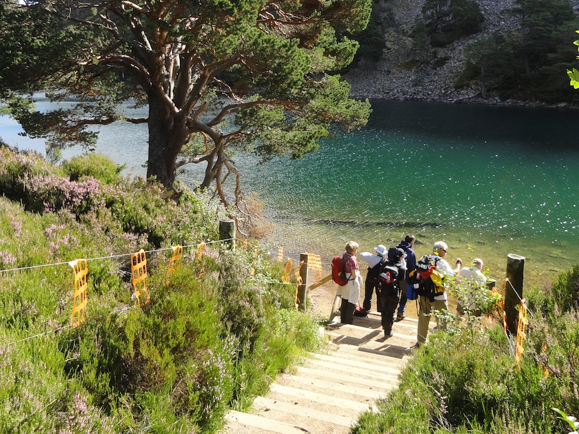 Top 5 Walking Routes in the Cairngorms: Bynack Mor and Stac an Iolaire