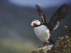 outer-hebrides-st-kilda