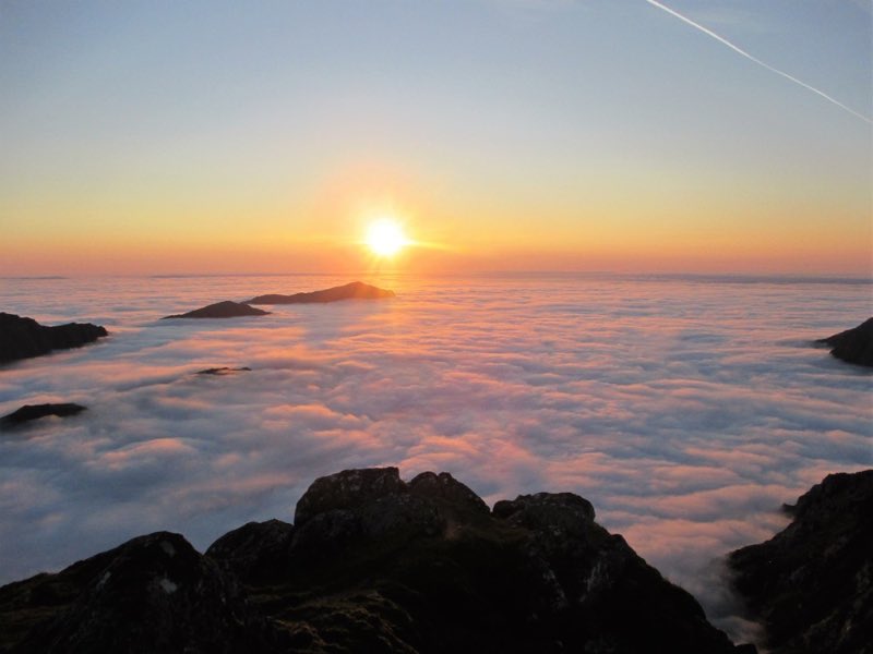 Love wilderness photo competition