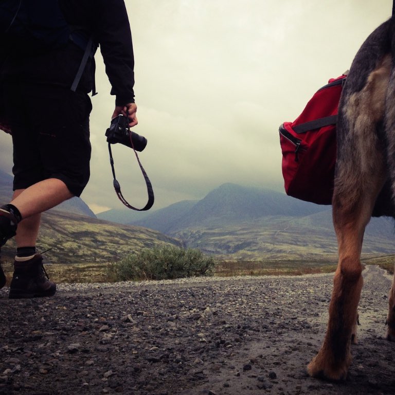 Love wilderness photo competition