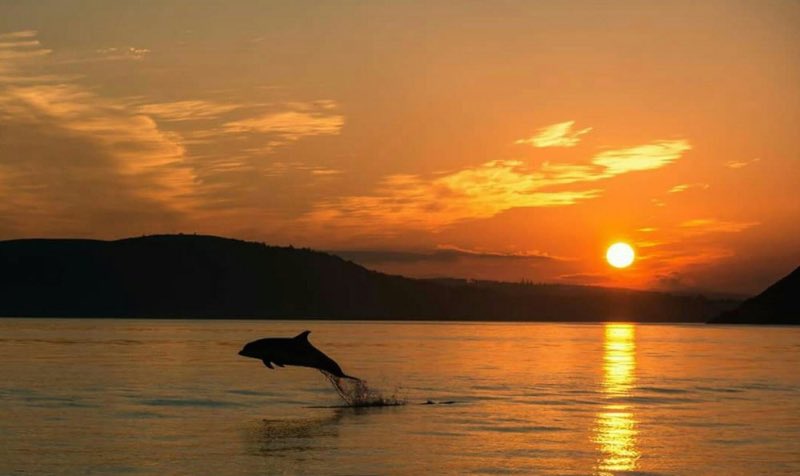 Love wilderness photo competition (9)