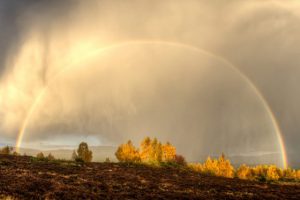 Autumn in Scotland