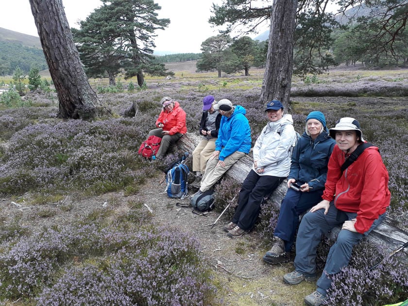 Find out what the best footwear for hiking in Scotland is Wilderness