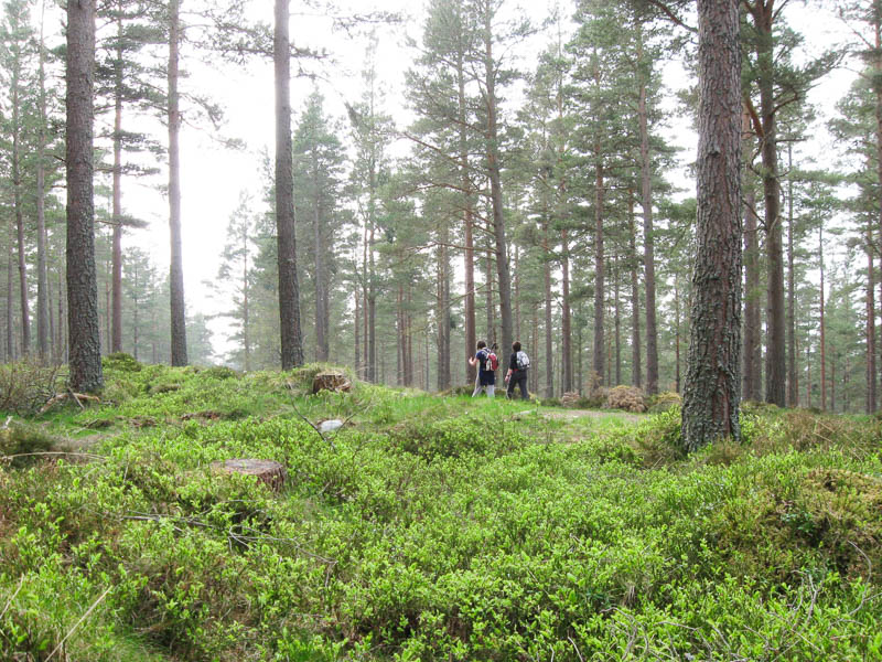 Scotland's Long Distance Trails Wilderness Scotland