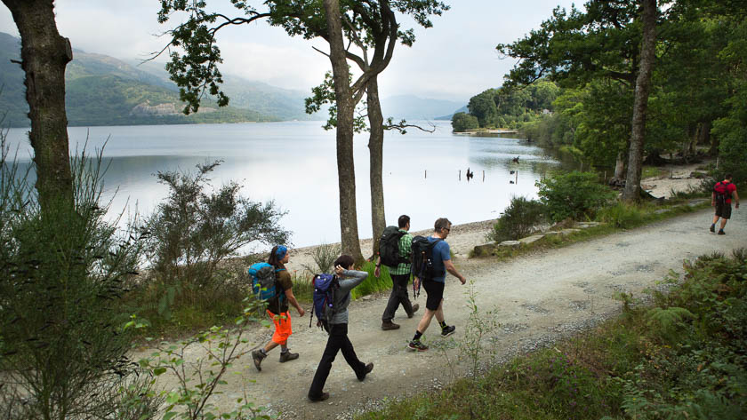 Walking West Highland Way With Dog Equipment Walking West Highland Way With Dog Equipment