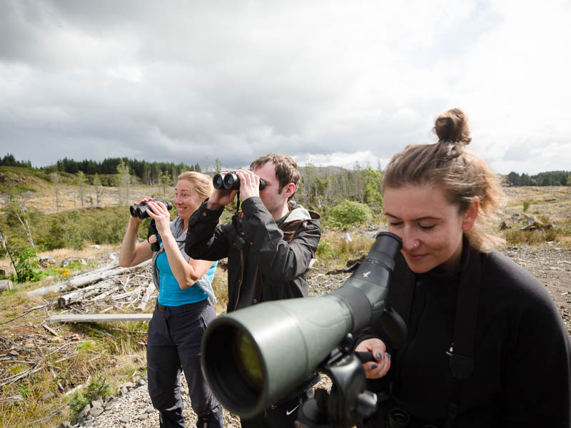 wildlife holiday mull, staffa, iona