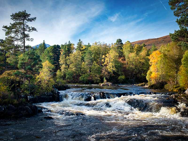 A rushing river flows through a dense autumn forest, with trees in vibrant fall.