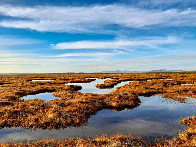 a beautiful but isolated blanket bogland, with very blue skies. Flow Country, unesco world heritage site.