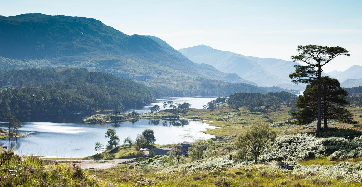 Discover Glen Affric Estate Wilderness Scotland & Ireland