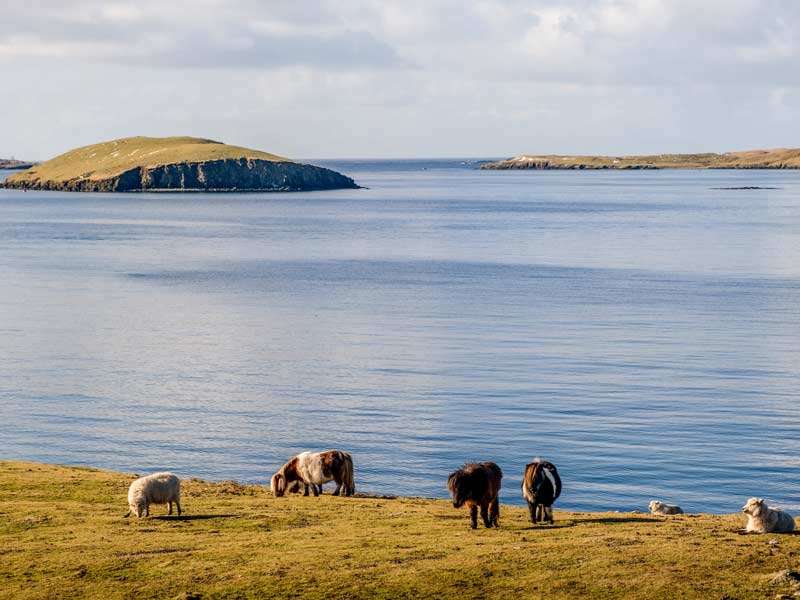 Rocky coastline at Maa Ness in Shetland, photographed after a NorthLink ferry journey to Lerwick.