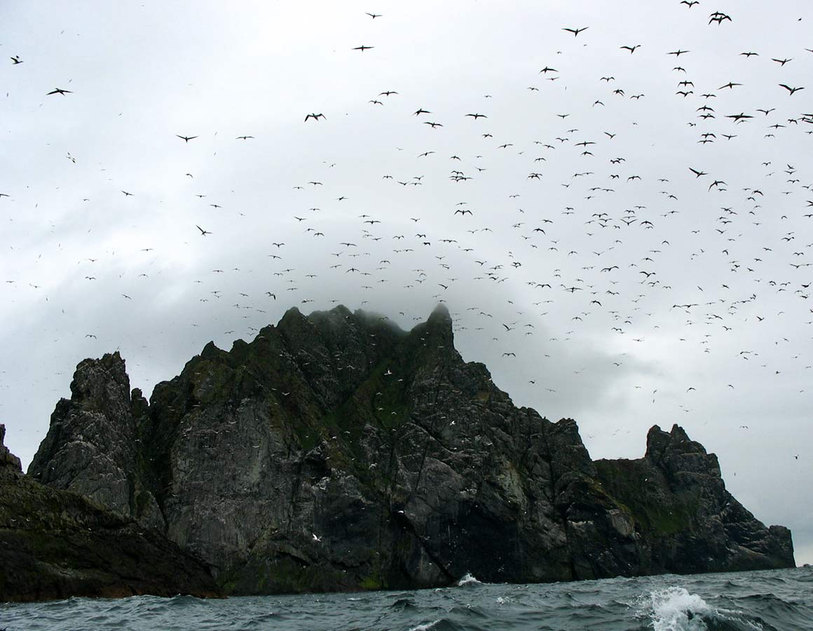 St Kilda Islands on the Edge