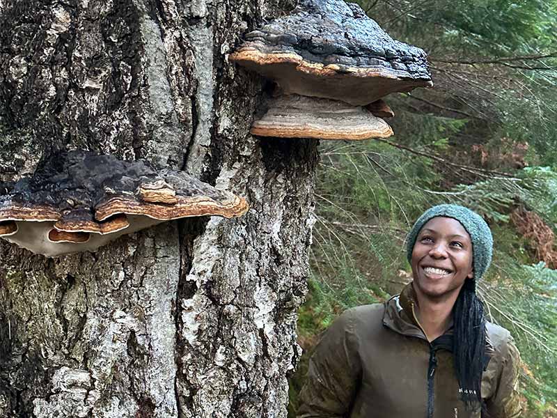 A woman is looking up at fungi growing on a tree