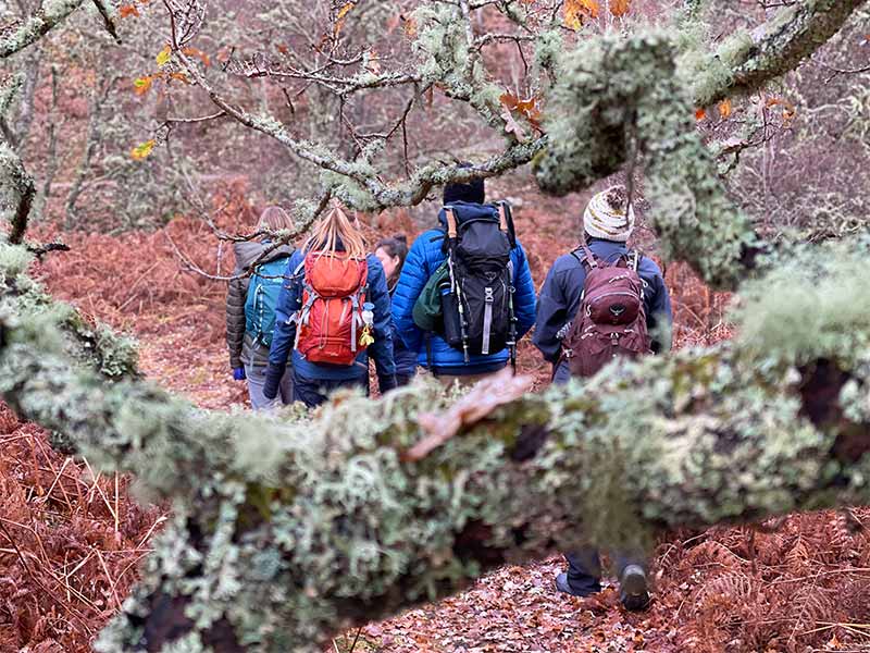 people walking in the woods with leaves on the ground and lots of lichen in the trees