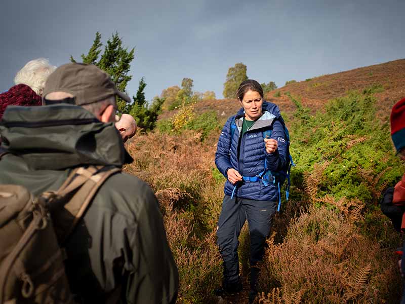 a woman showing a small plant to a group of people on a bracken covered hill in the autumn