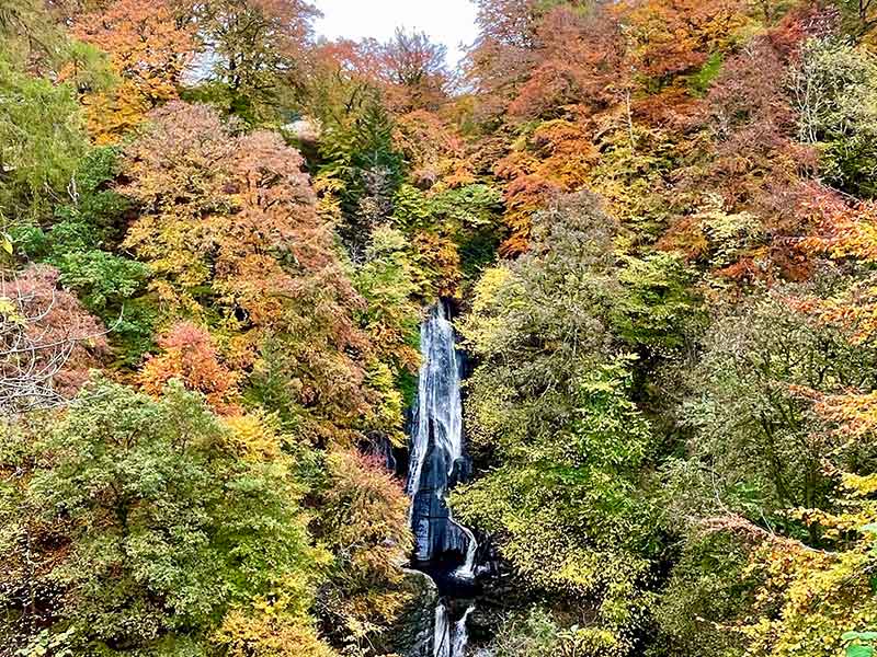 an impressively tall waterfall surrounded in autumn colours