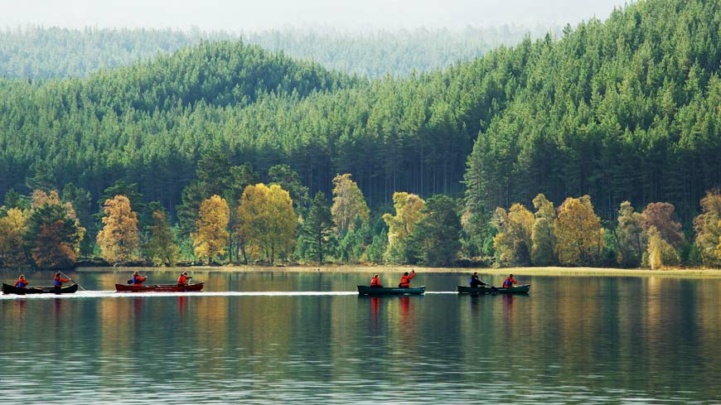 Canoeists enjoy a relaxed paddle with a guided group on Loch an Eilein.