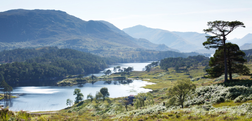 Glen Affric