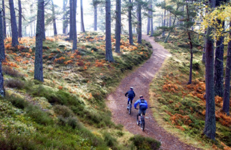 Spring in the Cairngorms