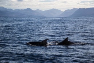 walking in knoydart photography