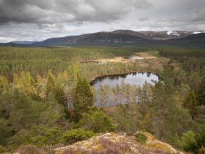 hiking high points of the cairngorms