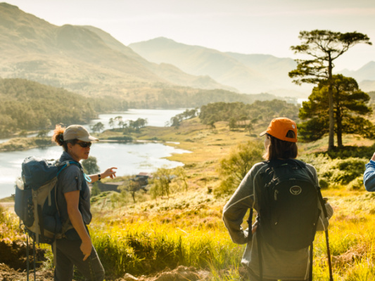 glen affric estate