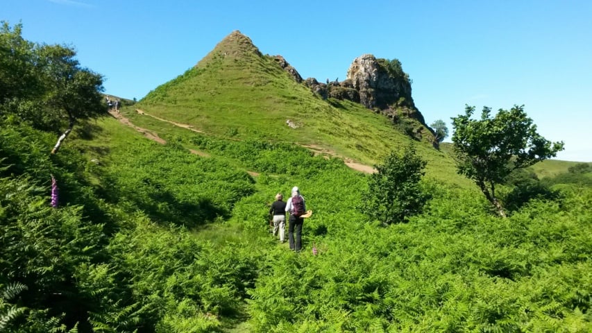 green hills in summer