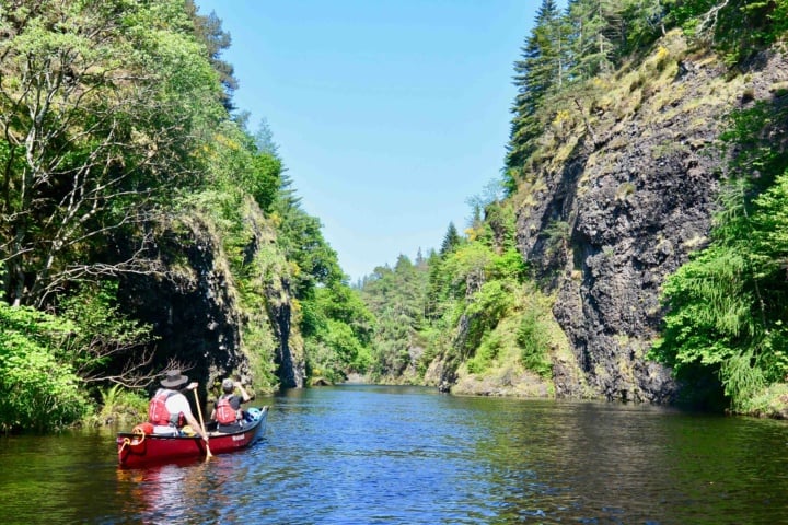 sunny summer gorge