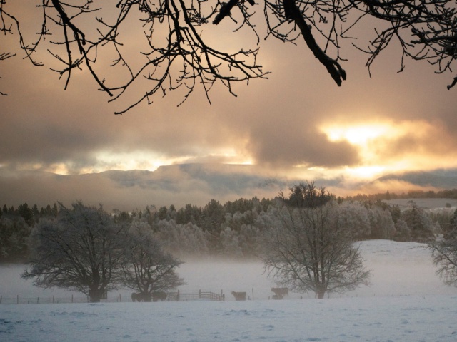 snow scenery scotland snow scenery scotland