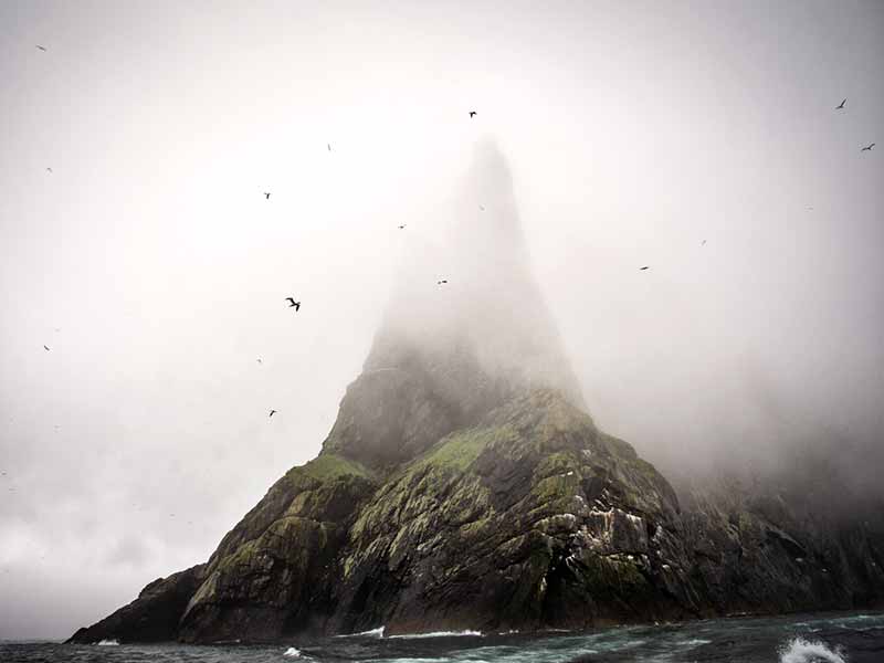 seacliff with seabirds, st kilda